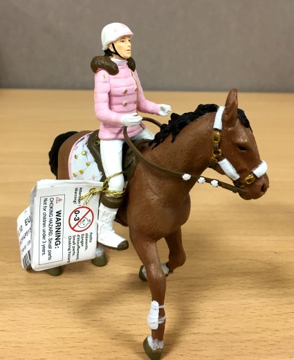 PAPO冬季骑手和她的马